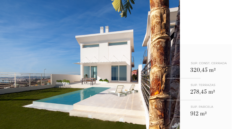 The Palm Collection 06