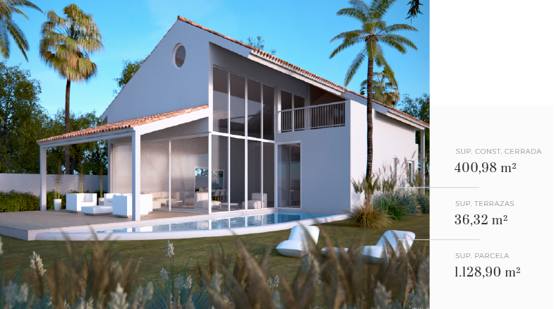 The Palm Collection 04